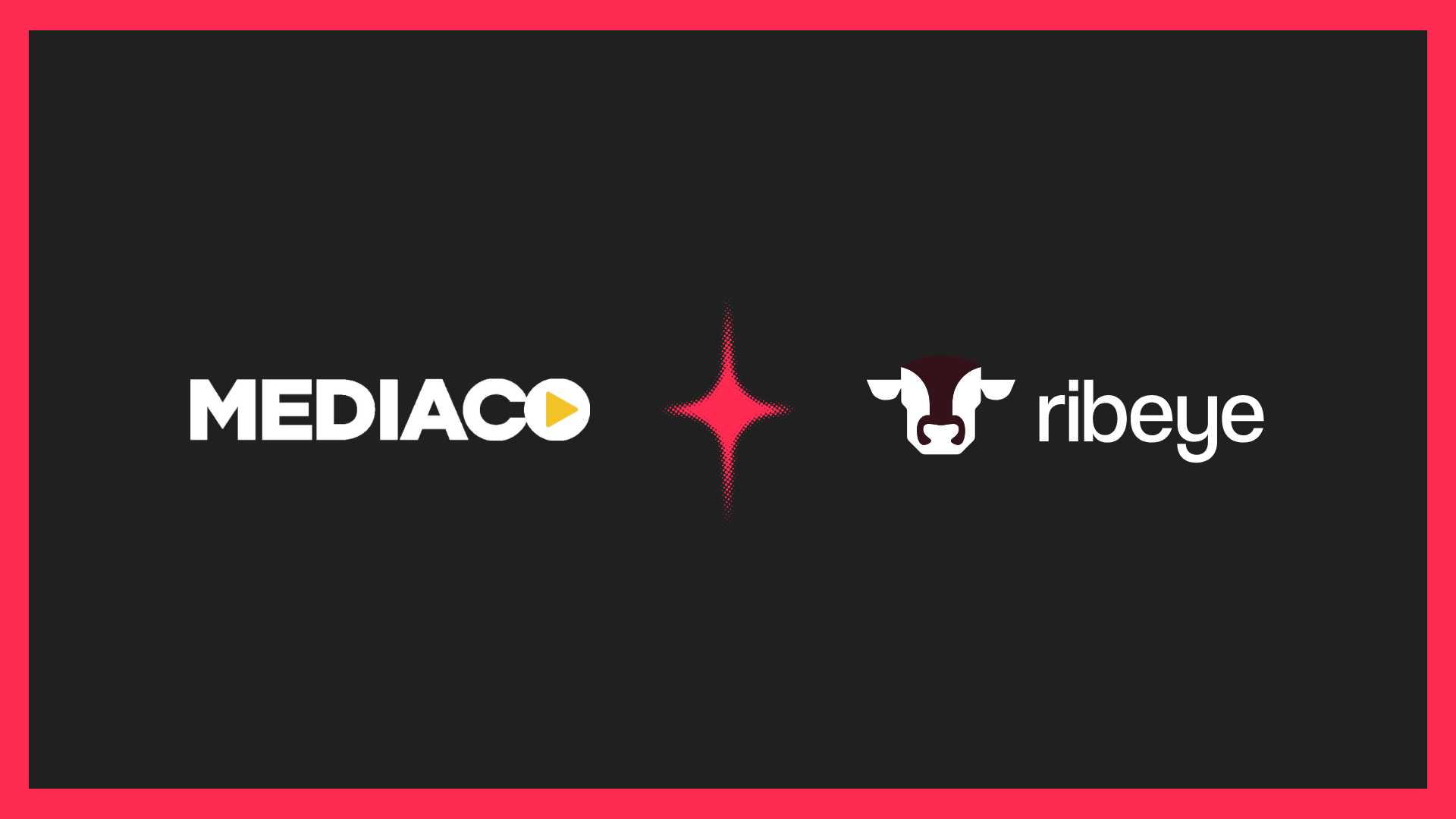 MediaCo adopts Ribeye’s unified programmatic platform