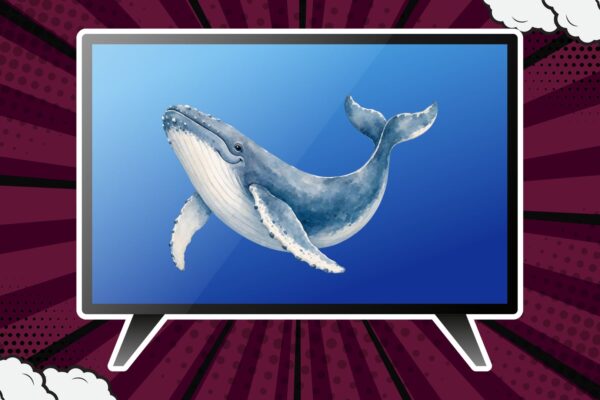 Teads Expands Global CTV Advertising With Whale TV