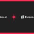 AI Programmatic Curation | Paradium.AI
